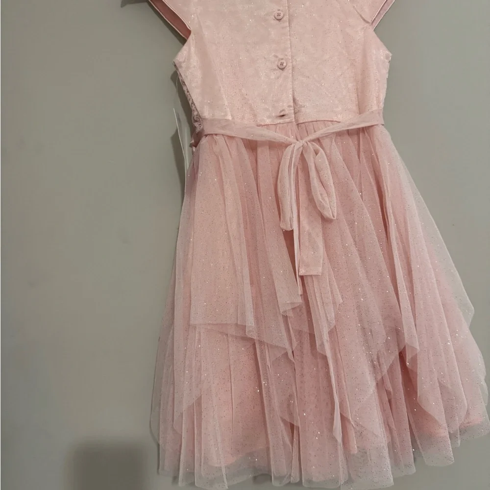 Jona Michelle Blush Lace Dress with Sequins